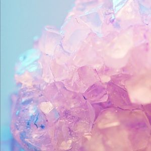 Meet your Posher, Abbie